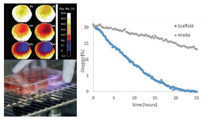 1673654856162655.jpg 圖片20.jpg