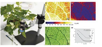 1673654879192654.jpg 圖片21.jpg